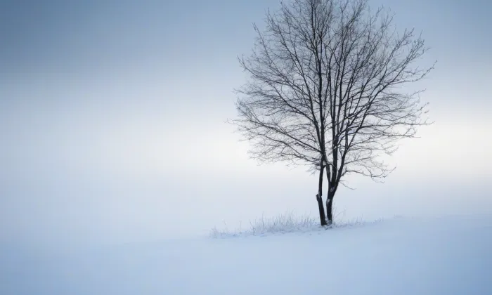 Špitál svatého Ducha – winter