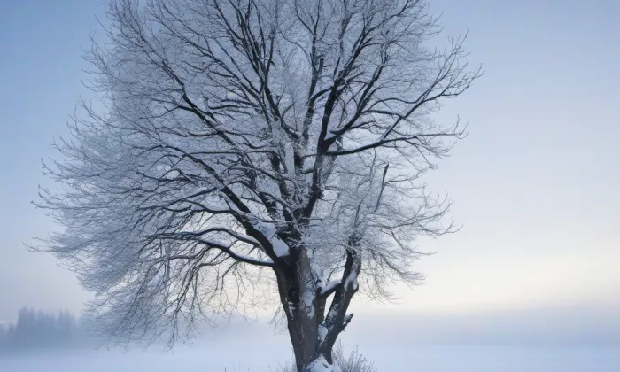 Úsobí – winter