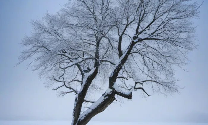 Ústí nad Labem (Ústí nad Labem) – winter