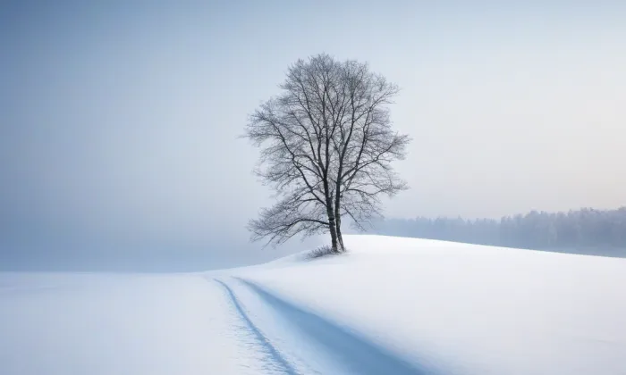 Adamova výklenková kaplička – winter