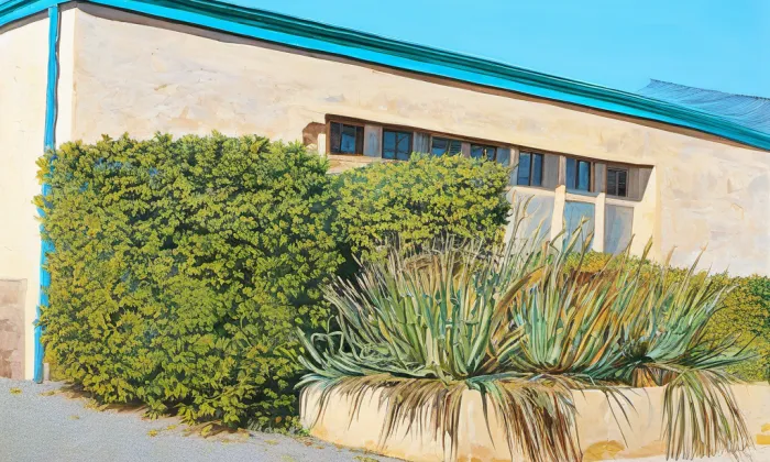 Africké muzeum Dr. Emila Holuba – historical