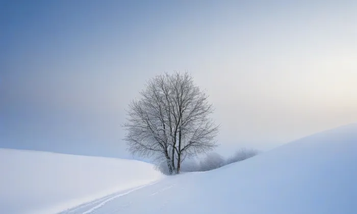Akademie HUSPOL, s.r.o. – winter