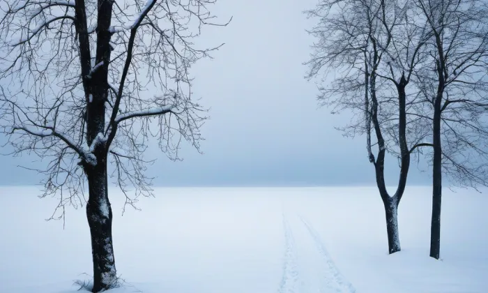 Akademie múzických umění v Praze – winter