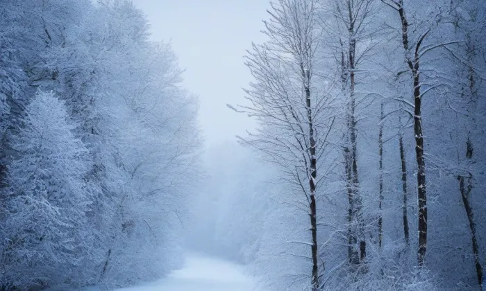 Akademie výtvarných umění v Praze – winter