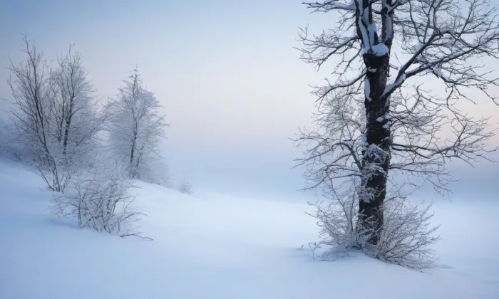 Alžír – winter