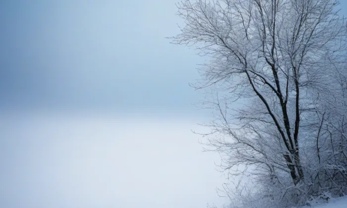 Alšova jihočeská galerie v Hluboké nad Vltavou – winter