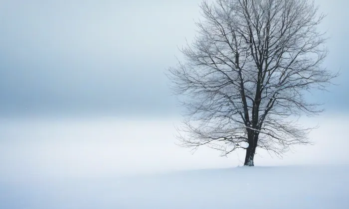 Americký park – winter