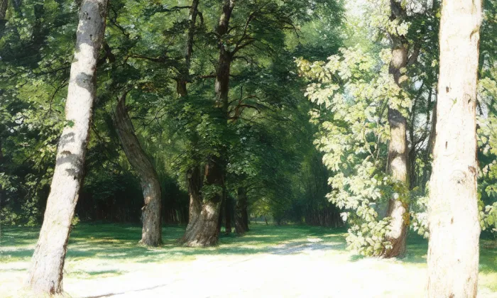 Arboretum – historical