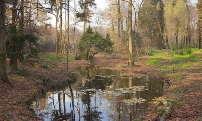 Arboretum Nové Zákupy – historical