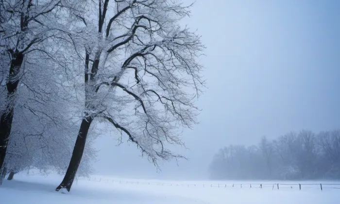 Arboretum Sofronka – winter