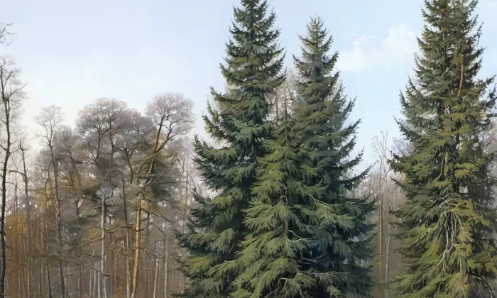 Arboretum Vysoké Chvojno – historical