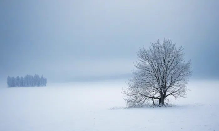 Archeopark Pavlov – winter