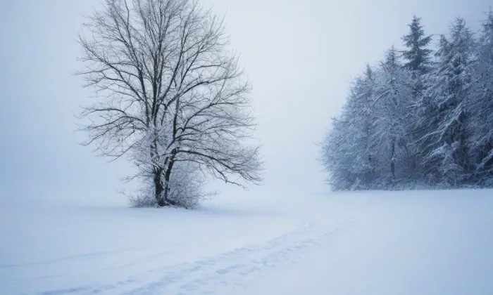 Archiv České koruny – winter