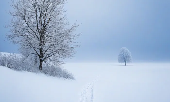 Archiv Leoše Janáčka – winter
