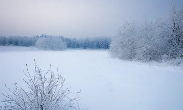 Archiv města Plzně – winter