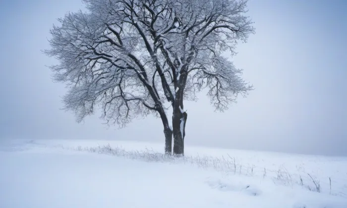Archiv Moravské galerie v Brně – winter