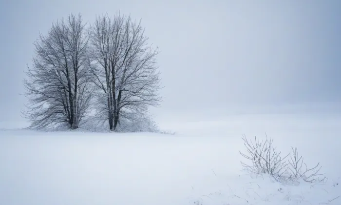 Archiv Národní knihovny ČR – winter