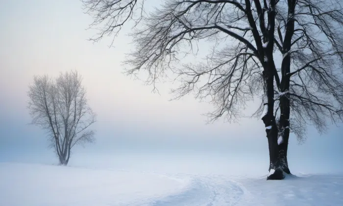 Archiv Poslanecké sněmovny – winter