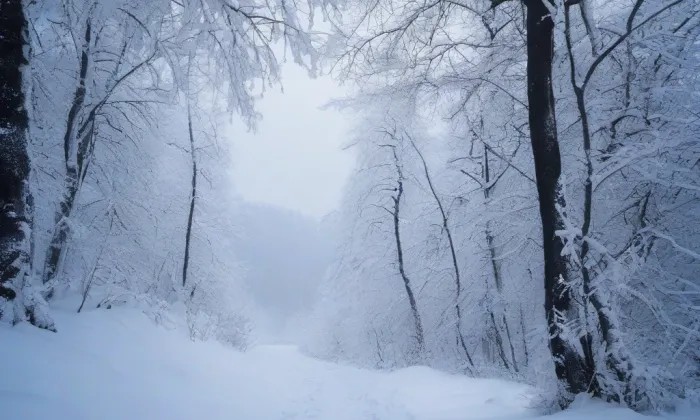 Archiv Pražského hradu – winter