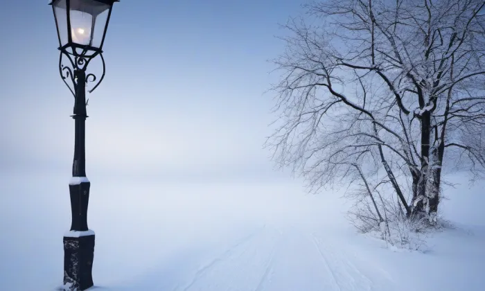 Archiv Senátu – winter
