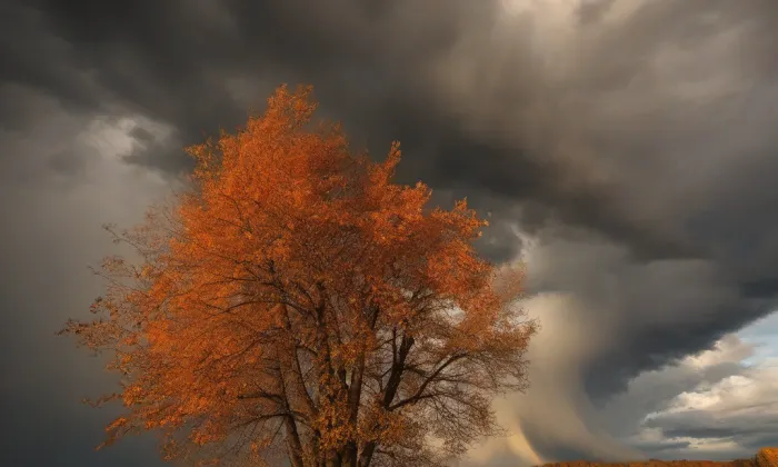 Arcibiskupský zámek Kroměříž – autumn