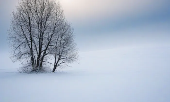Arciděkanství – winter