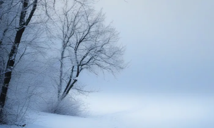 Arnoldova vila – winter