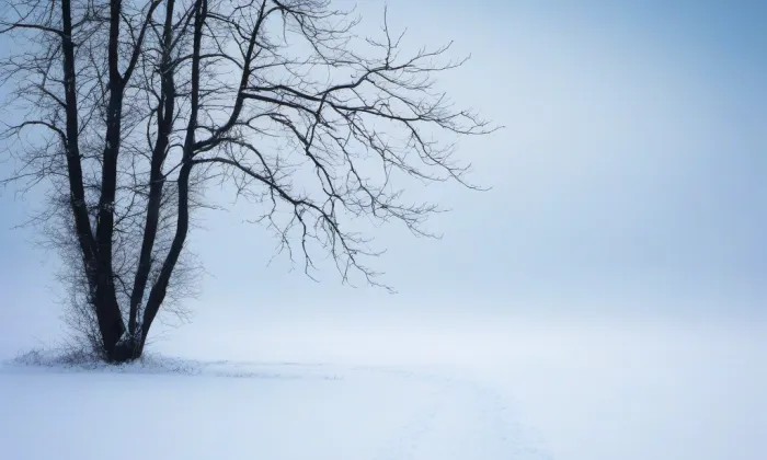 Ateliér Josefa Sudka – winter