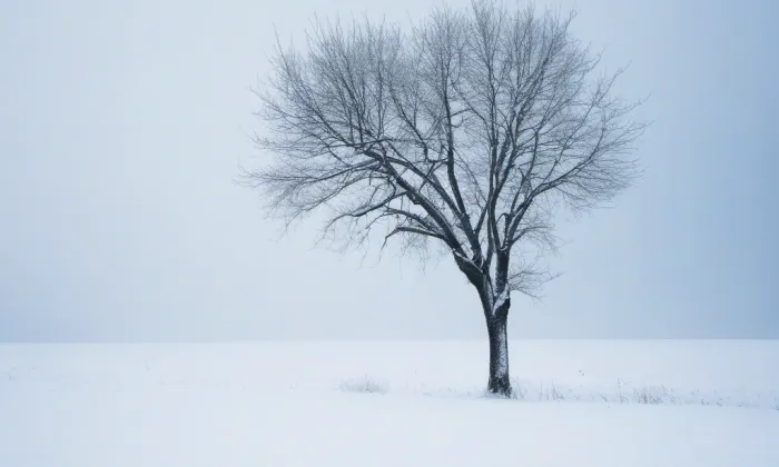augustiniánský klášter u kostela svatého Tomáše – winter