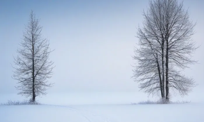 Augustiniánský klášter v Roudnici nad Labem – winter