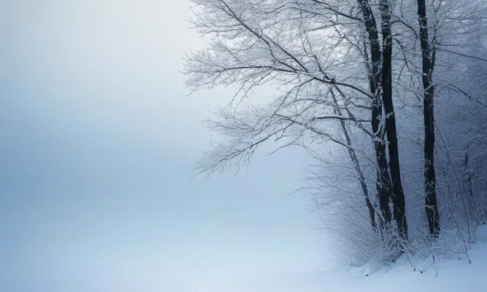 Býčí skála – winter