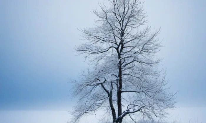 Býchory – winter
