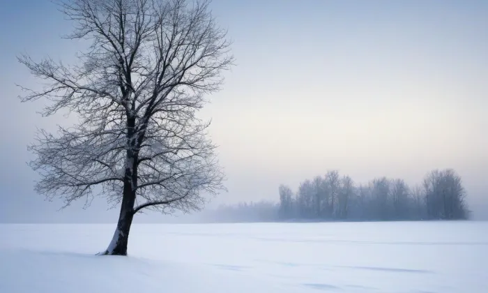 Bílá věž – winter