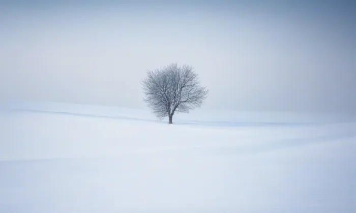 Bělohorská – winter