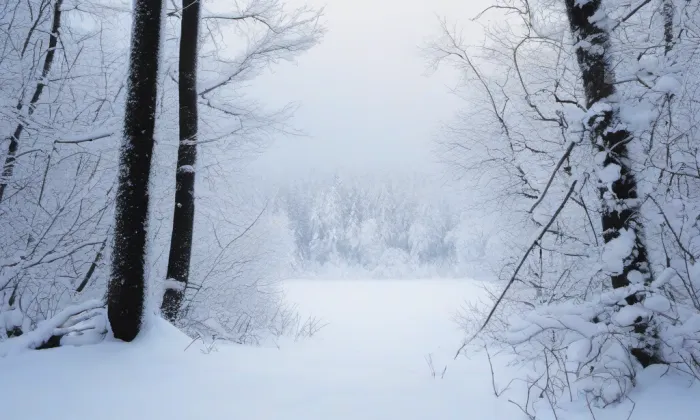 Bývalá kasárna – winter