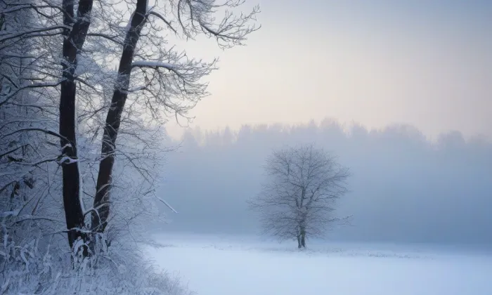 Bývalá tvrz – sýpka – winter