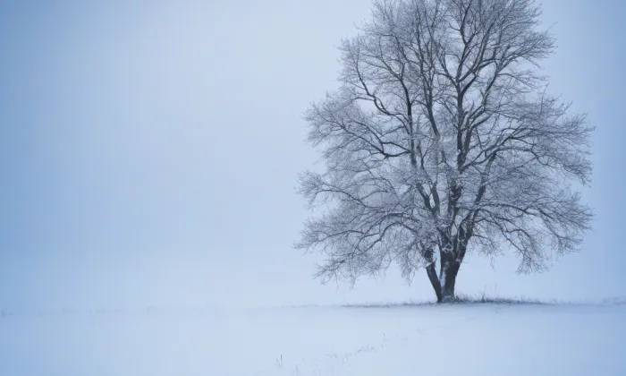 Bývalá tvrz v Malíkovicích – winter
