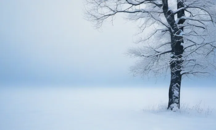 Bývalá Vyšší hospodářská škola – winter