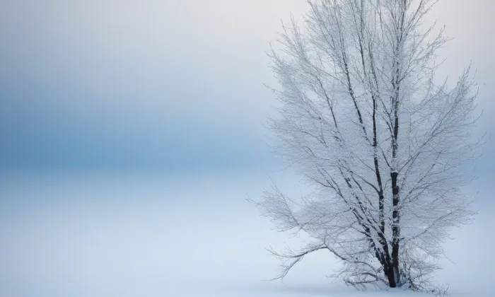 Bassova vila – winter