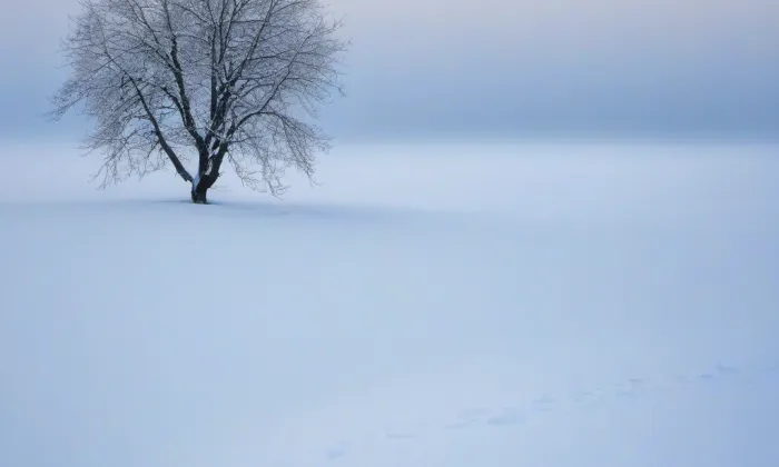 Bazilika Nanebevzetí Panny Marie a svatého Cyrila a Metoděje – winter