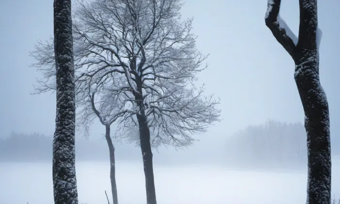 Bazilika Nanebevzetí Panny Marie a svatého Mikuláše – winter