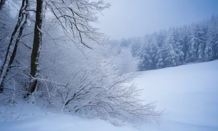 Bazilika Navštívení Panny Marie (Svatý Kopeček) – winter
