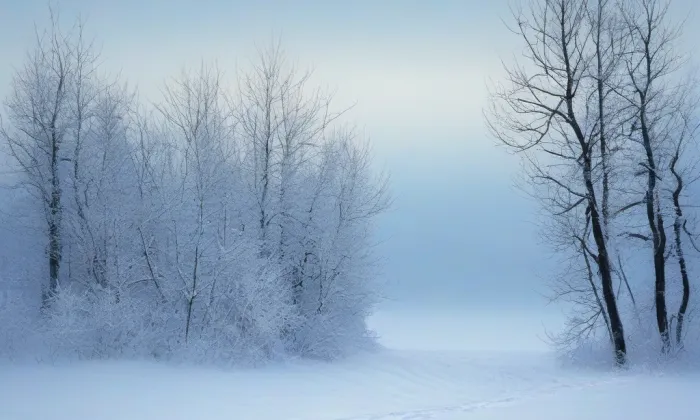 bazilika svaté Ludmily – winter