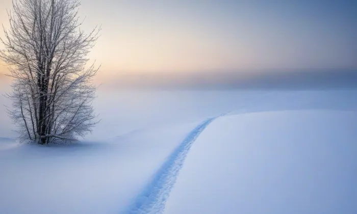 Bazilika svatých Petra a Pavla na Vyšehradě – winter