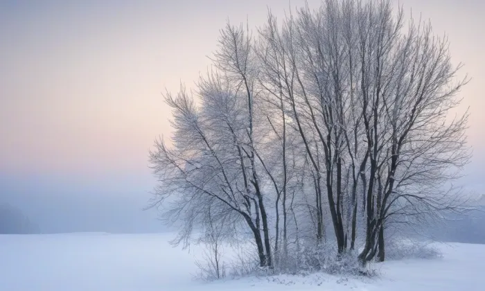Bazilika svatého Vavřince a svaté Zdislavy – winter