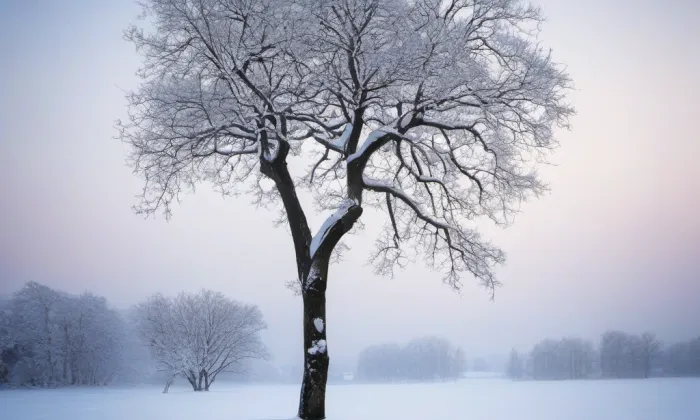 Benešov nad Ploučnicí – winter