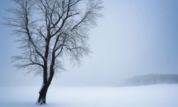 Benešov u Prahy – winter
