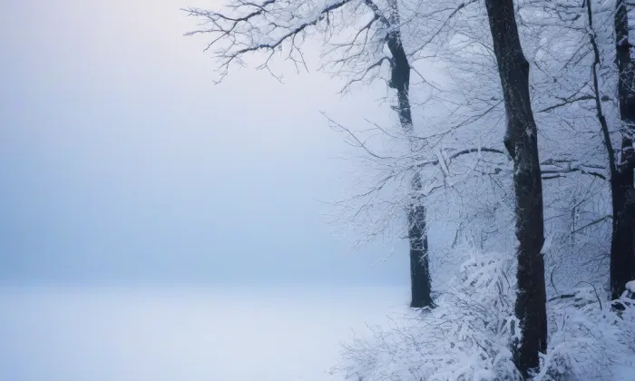 Benešova škola – winter