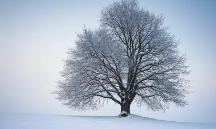Benediktinský klášter Rajhrad – winter