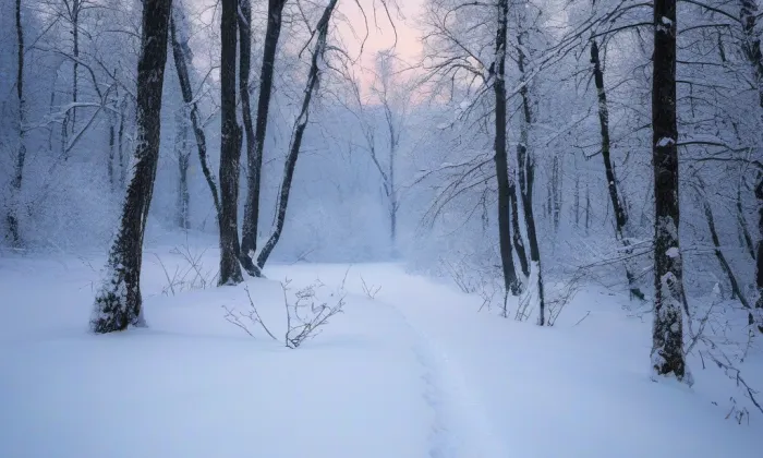 Besední dům – winter